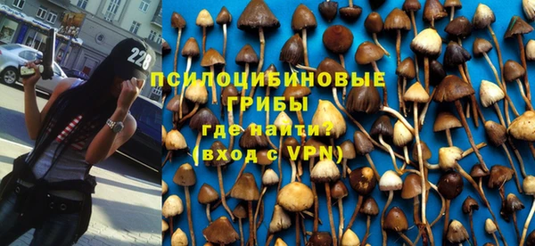 марихуана Приозерск