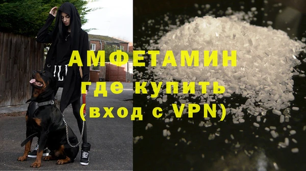 сатива Верея