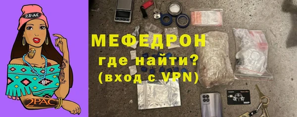 сатива Верея
