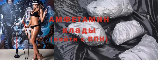 сатива Верея