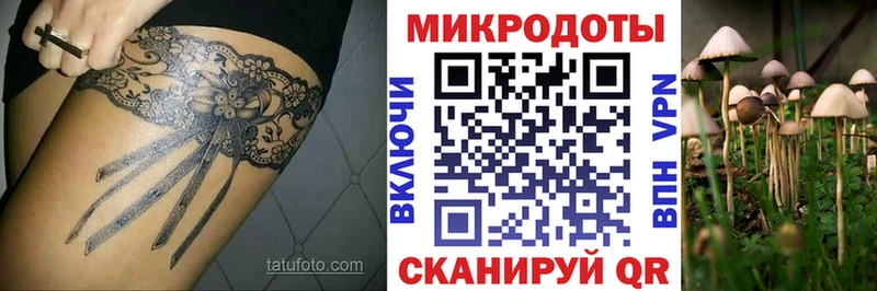наркотики  Осинники  Псилоцибиновые грибы ЛСД 